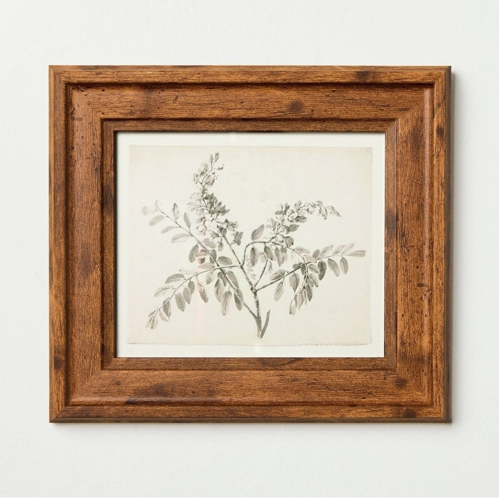 8"x9" Sketched Branches Wall Art Framed from the Hearth & Hand with Magnolia NWT